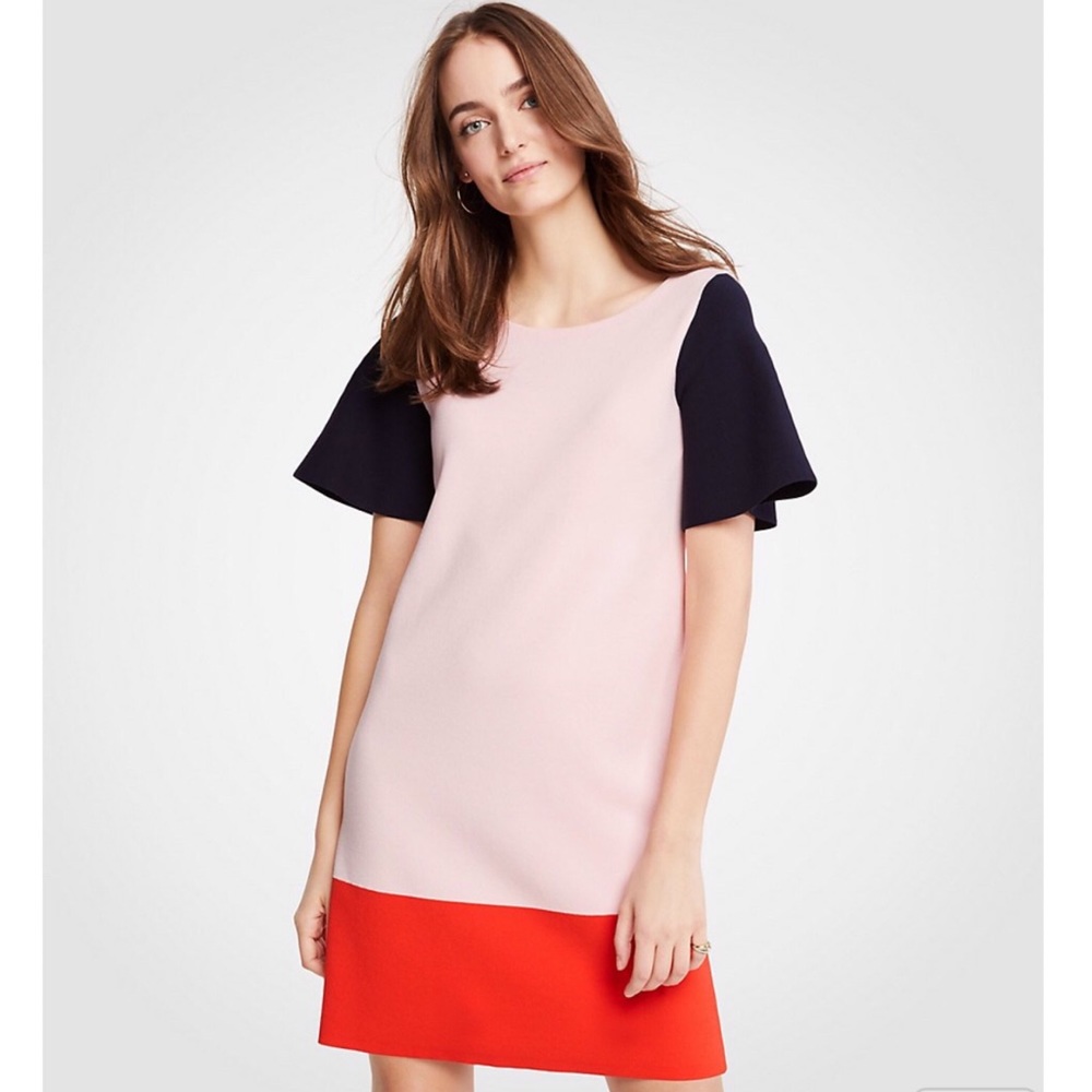 NWT Ann Taylor Colorblock Sweater Shift Dress